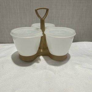 Vintage Tupperware Condiment Set